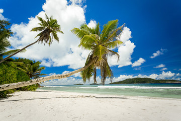 Beautiful beach in Seychelles