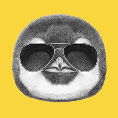 Portrait of Penguin with sunglasses. Hand drawn illustration.