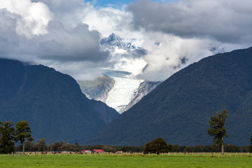 Naklejka premium Fox Glacier