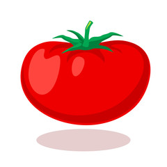 Tomato in cartoon style. Vector illustration