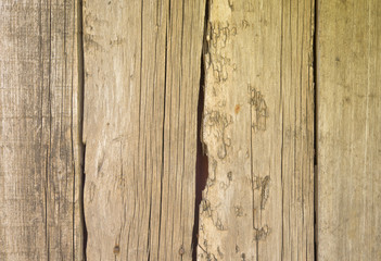 старые деревянные доски. деревенский забор