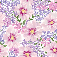 Obrazy  Kwiatowy wzór. Kwiat tło. Karta kwiatowy rozkwitać tekstury