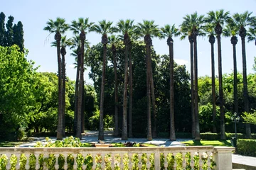 Fototapeten Nationalgarten in Athen © markara