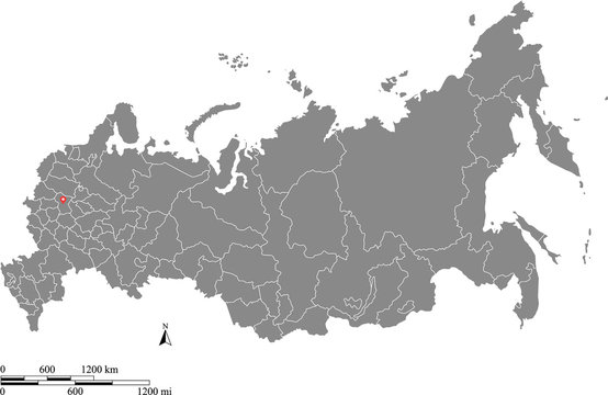 Russia map vector outline with scales of miles and kilometers in gray background