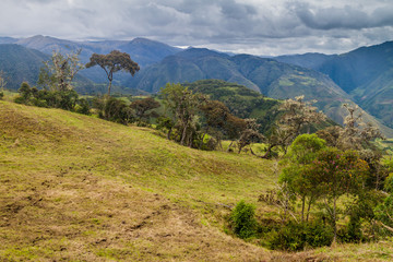 Countryside in cloud forest mountains around Leymebamba, northern Peru.