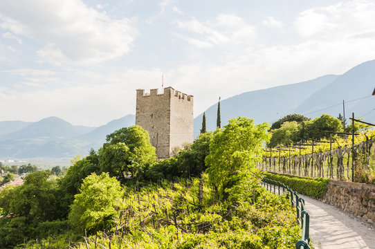 Meran, Stadt, Altstadt, Pulverturm, Tappeinerweg, Spazierweg, Weinberg, Weinpergola, Herbst, Etschtal, S&uuml;dtirol, Italien