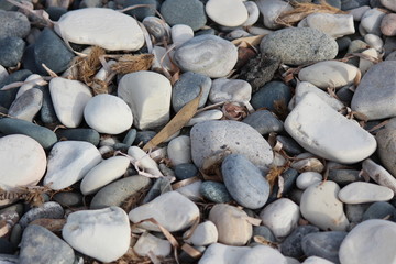 Varying Shades of Grey and White Pebbles on Beach in Cyprus.