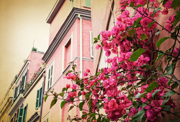 Fototapeta na wymiar Traditional alley in Trastevere - Rome Italy