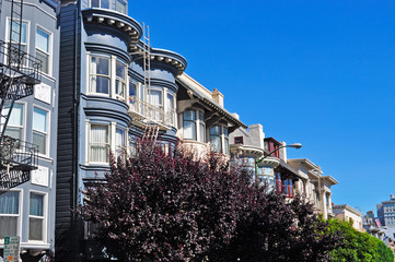 Fototapeta premium San Francisco, California, Usa: una fila di case storiche il 7 giugno 2010. San Francisco è famosa nel mondo per le sue case edoardiane e vittoriane perfettamente conservate