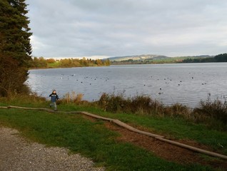 Kind tobt im Herbst am See