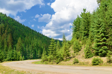 Fototapeta na wymiar Road in the coniferous forest on the background hills