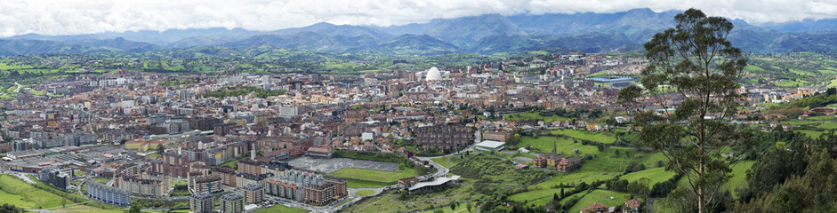 Fototapeta na wymiar Oviedo,capital de Asturias