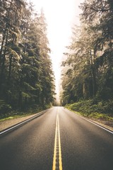 Voyage sur la route de la forêt de séquoias