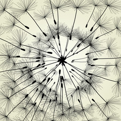 Obraz premium Abstract dandelion background vector Illustration spring
