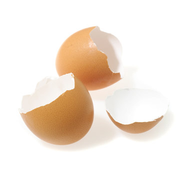 fresh egg isolated on white background