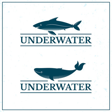 Underwater oceanarium logo, vector illustration