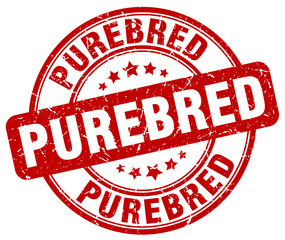 purebred red grunge round vintage rubber stamp