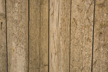 старые деревянные доски. деревенский забор