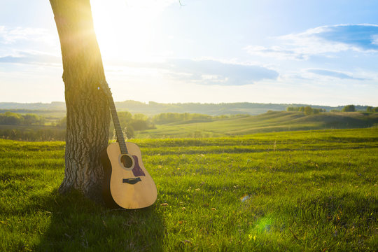 classical guitar propped against a tree trunk