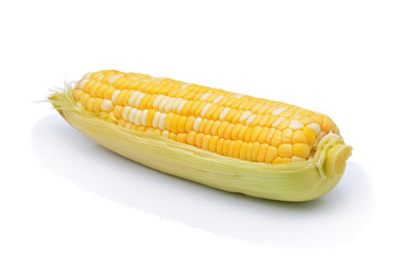 An ear of corn isolated on a white background