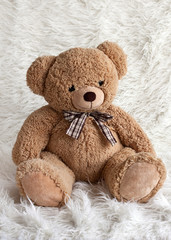 Teddy bear