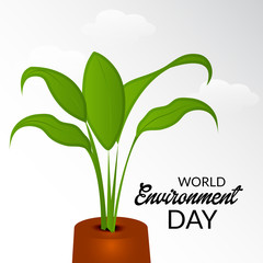 World Envirnoment Day