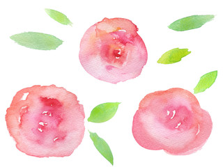 Hand drawn watercolor roses