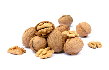 Fresh walnut with a shell isolated on white background