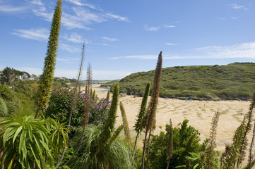 View of the "Gannel" estuary, Newquay, Cornwall, UK