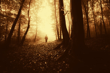 Obraz na płótnie Canvas man on forest path at sunset