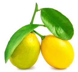 Two lemons with leaf