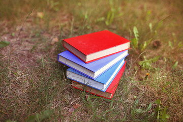 A stack of closed books outdoor. Books in the forest