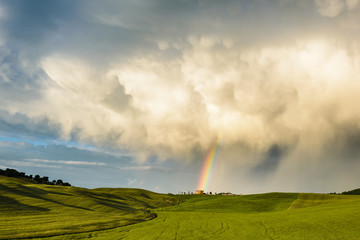 Rainbow over the field after a spring rain storm