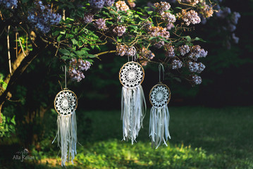 dream catchers hanging on lilac