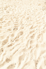 Sand Texture / White Sand Background close up / Beach Wallpaper