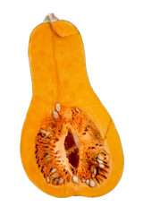 Тыква обыкновенная в разрезе на белом фоне
