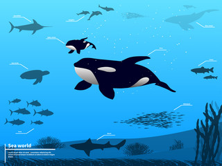 Obraz na płótnie Canvas Infographics ocean sea underwater world