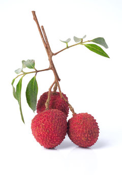 lychee bunch on white background