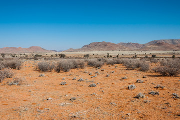 Fototapeta na wymiar Roter Sand der Namib-Wüste; Namibia