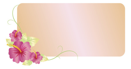 floral pattern greeting card illustration