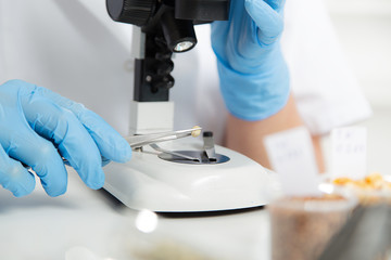 Laboratory assistant in the laboratory of of food quality.Cell culture assay to test genetically modified seed.