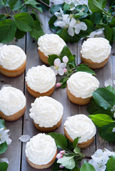 Cupcakes with butter cream and spring white flowers