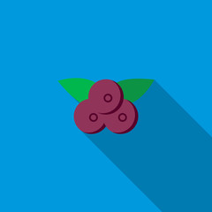 Bilberry icon, flat style