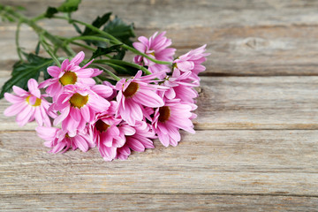 Fototapeta na wymiar Pink chrysanthemum flowers on grey wooden background