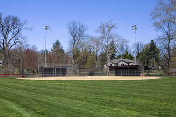 View from the Outfield
