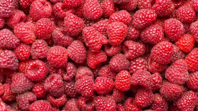 Fresh raspberry background