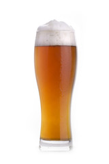 beer isolated