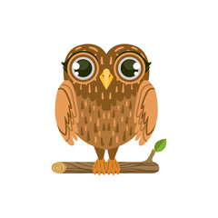 Owl Friendly Forest Animal