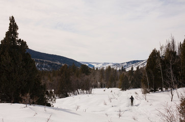 Cross country skiers, High Uinta Wilderness, Utah, USA