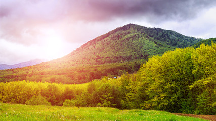 Carpathian mountains, picturesque landscape in Ukraine.